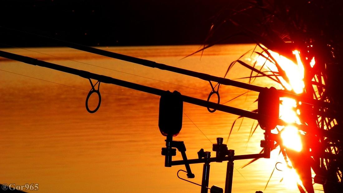 Sunset - 1004810.jpg